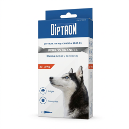 DIPTRÓN - PIPETAS FIPRONILO